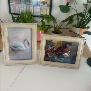 5X7 swan pictures Nicole Miller pewter Picture Frames with Swan Art